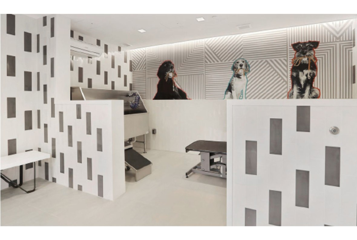 Robinson Landing pet spa interior in Old Town Alexandria Virginia &mdash; a luxury amenity space featuring custom dog mural artwork on a geometric striped accent wall, stainless steel grooming station, and tile feature walls designed by Barbara D. Currie.